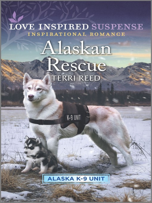 Title details for Alaskan Rescue by Terri Reed - Wait list